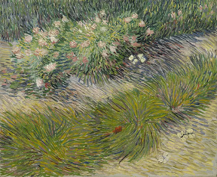 Góc vườn với bươm bướm, 1890, Vincent van Gogh