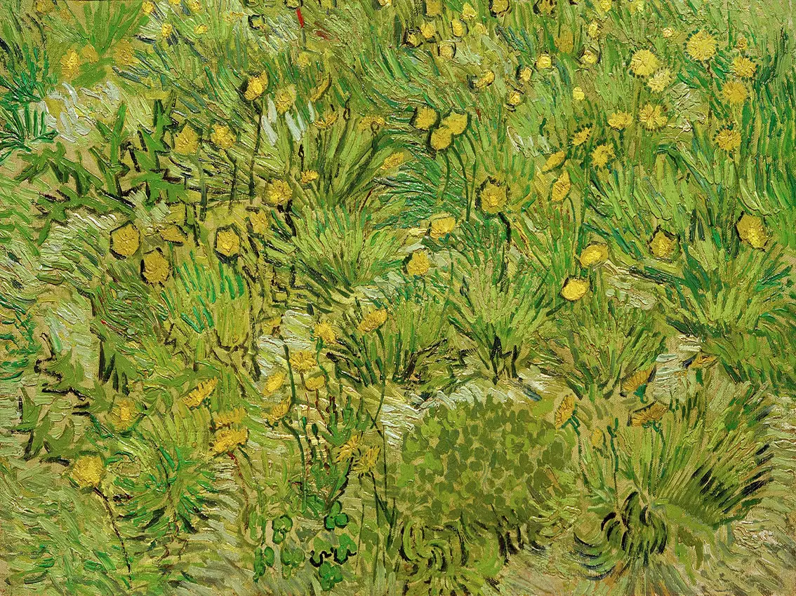canh-dong-hoa-bo-cong-anh-1889-vincent-van-gogh