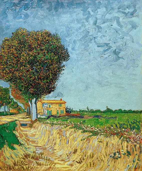 Con đường gần Arles,1888, Vincent van Gogh
