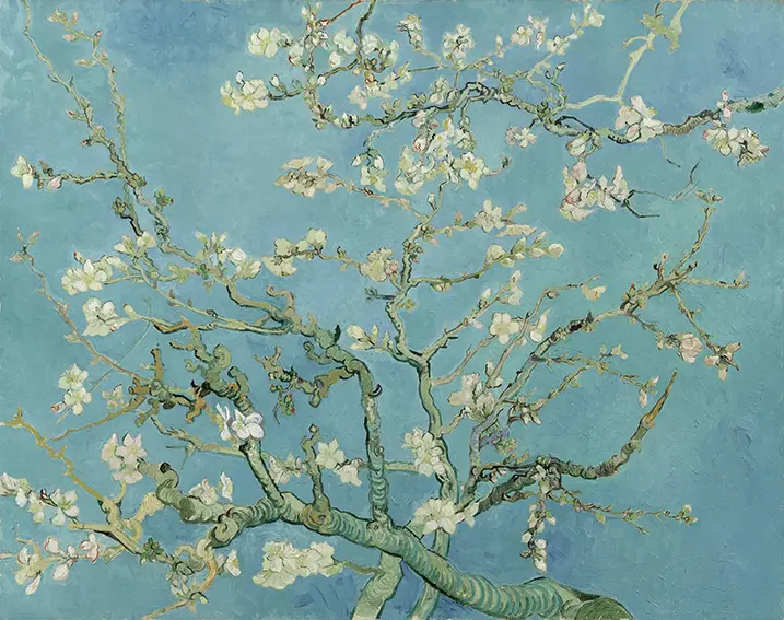 Hoa Hạnh Nhân Nở , 1890, Vincent van Gogh