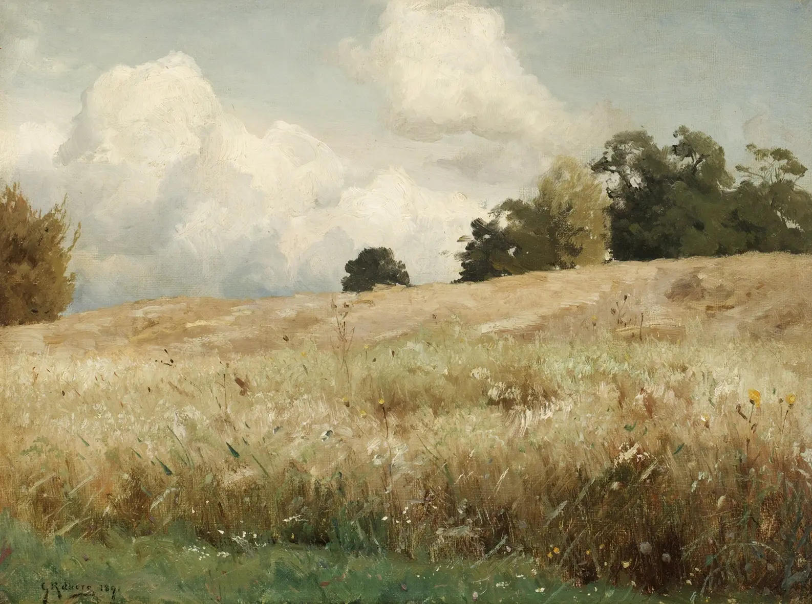 Cánh đồng lúa mì, Gustaf Rydberg